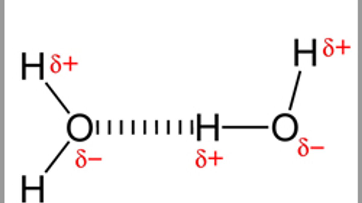 how-does-hydrogen-bonding-work